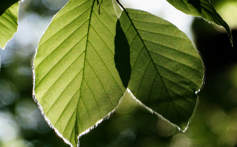 🌿TENDENCE 2023: ILGTSPĒJĪGA CEĻOŠANA