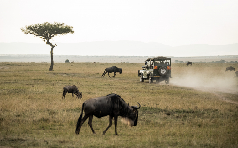 Jambo Kenijā – no safari Masai Mara parkā līdz atpūtai pie Indijas okeāna