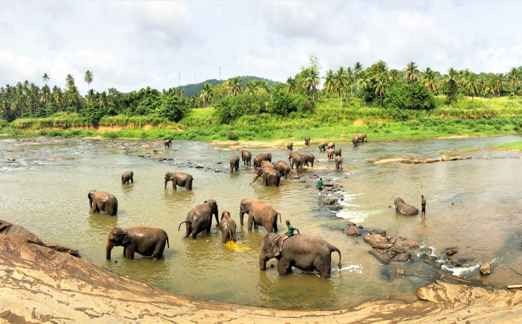 Šrilanka - mazais brīnums