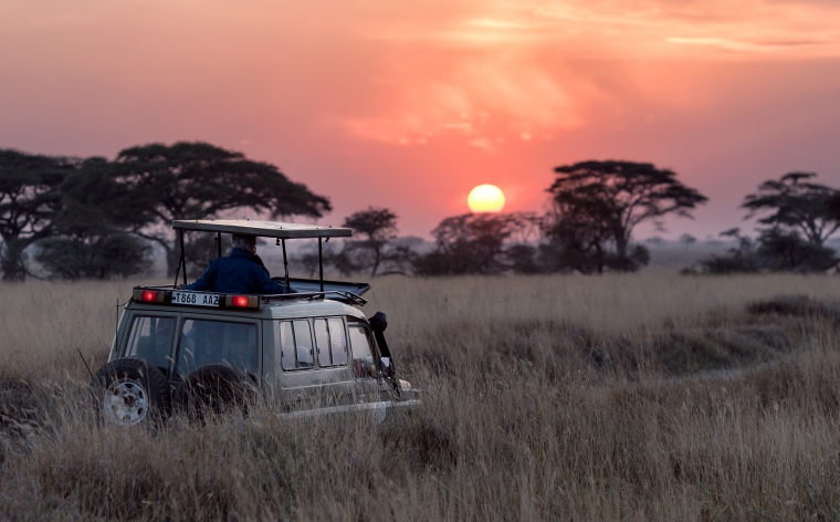 Dakāra un Senegāla janvāra nogalē ar RUI Baobab 5* all inclusive viesnīcu