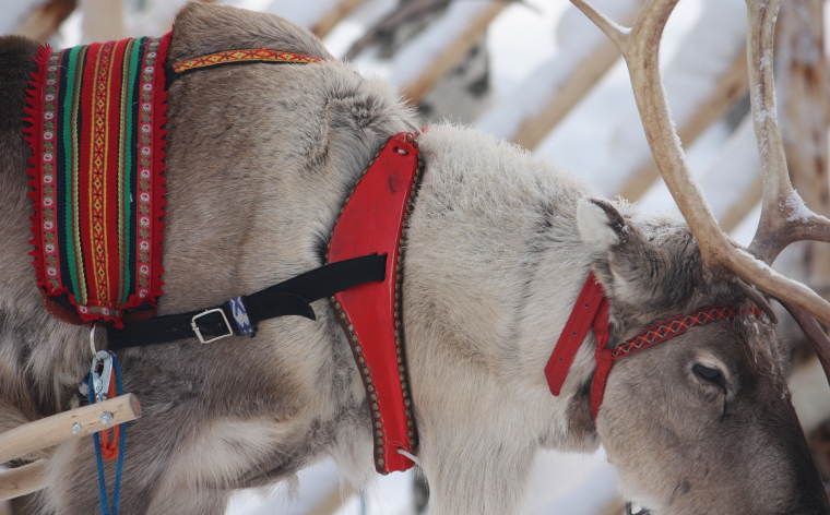 Pasaku un brīnumu pasaulē.
Aviotūre uz Lapzemi pie Santa Klausa.