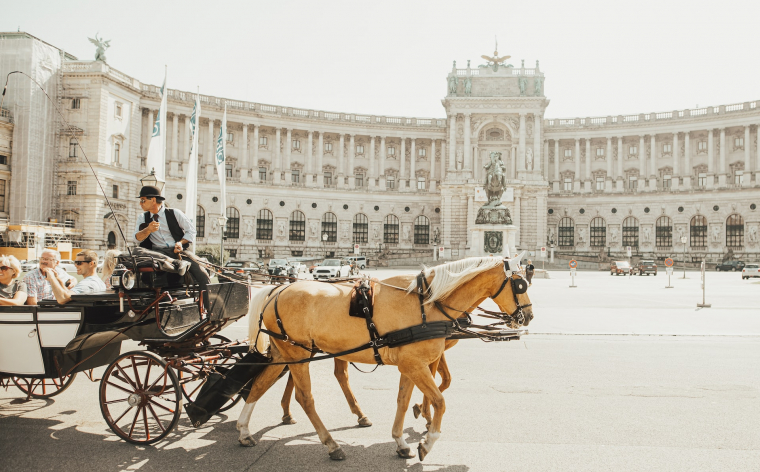 Aristokrātiskā Vīne, pilis, termālie baseini un vīns