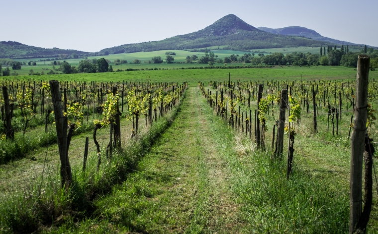 Ungārija - saules, vīna un termālo ūdeņu zeme
